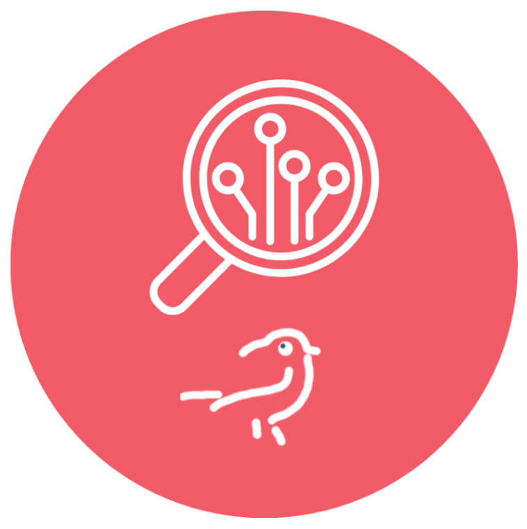 dessin d'une loupe blanche sur fond rouge avec un oiseau en dessous